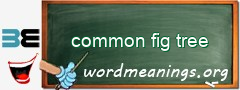 WordMeaning blackboard for common fig tree